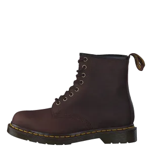 1460 Gaucho