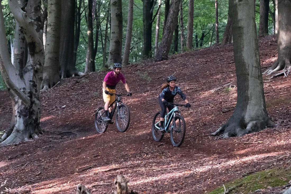 29" Touring Mountain Bike Expl 500
