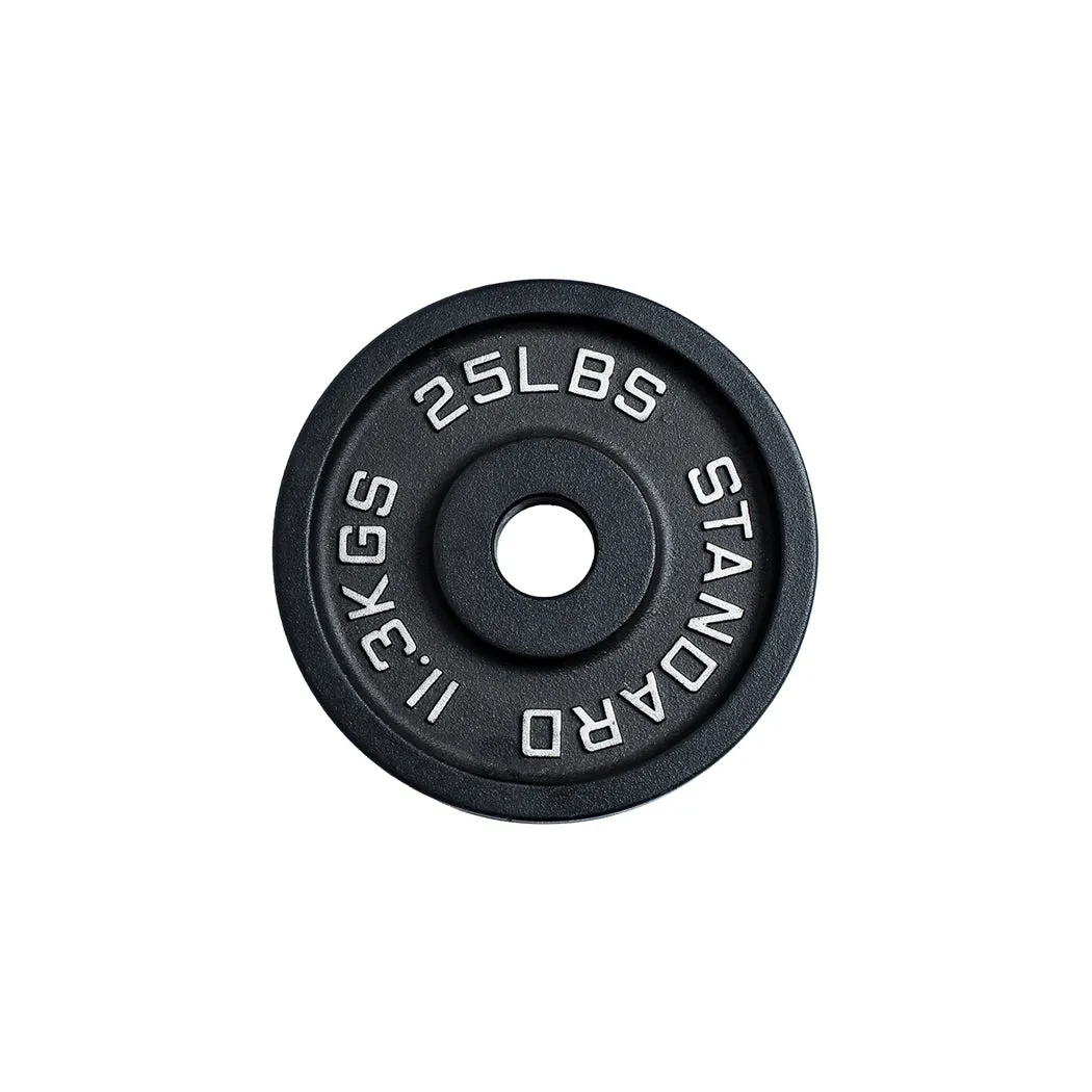 300 lb Cast Iron Olympic Plate   Bar Set