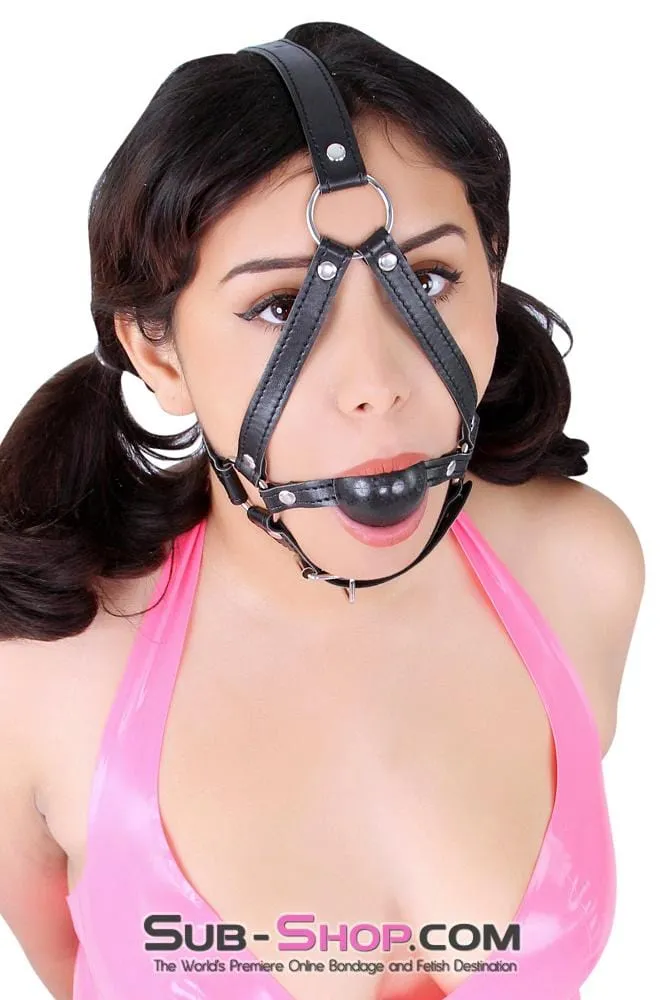 8994DL      Black Rubber Ballgag Bondage Trainer