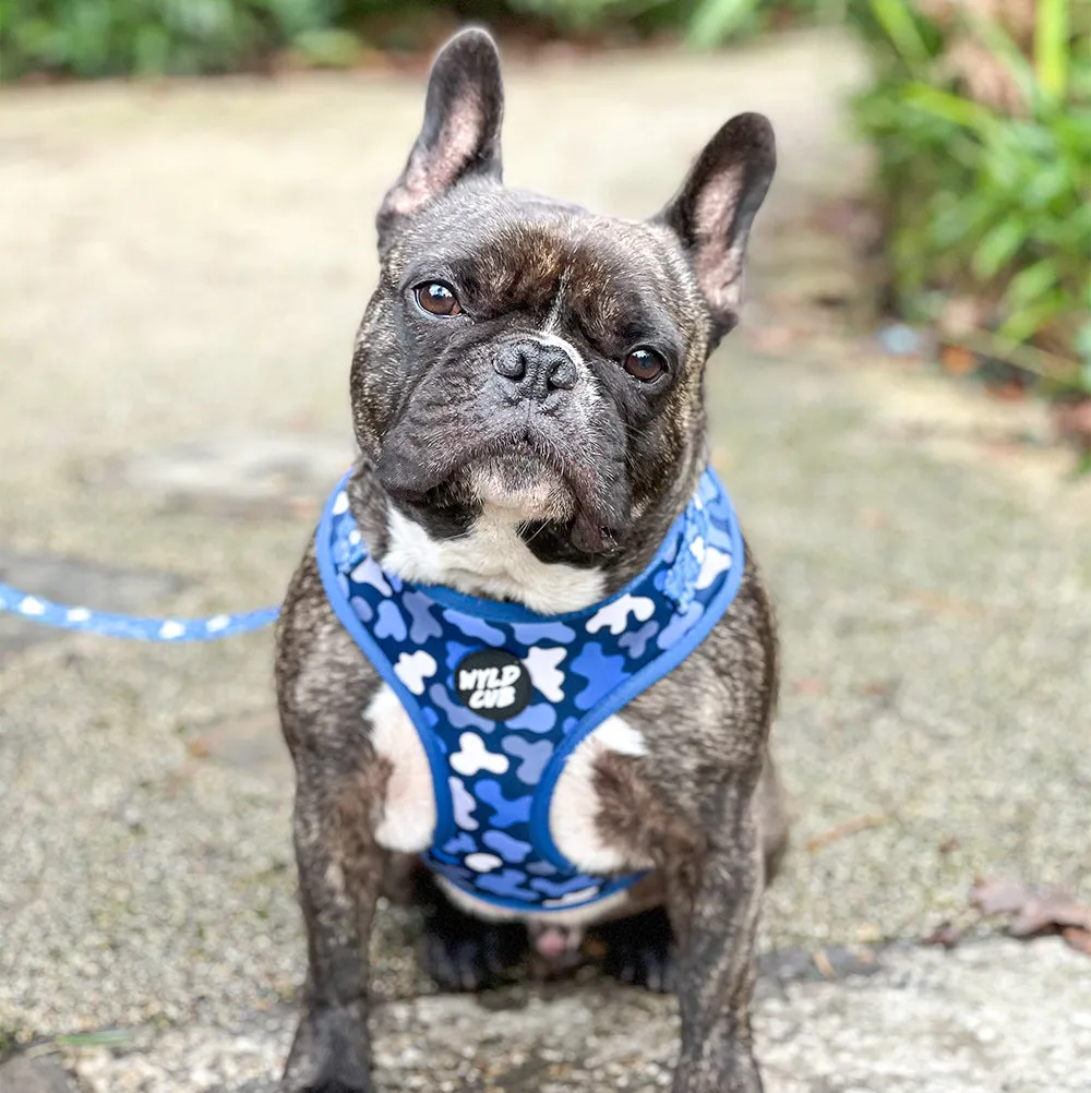 Camo, Let's get Outta Here!: Dog Lead