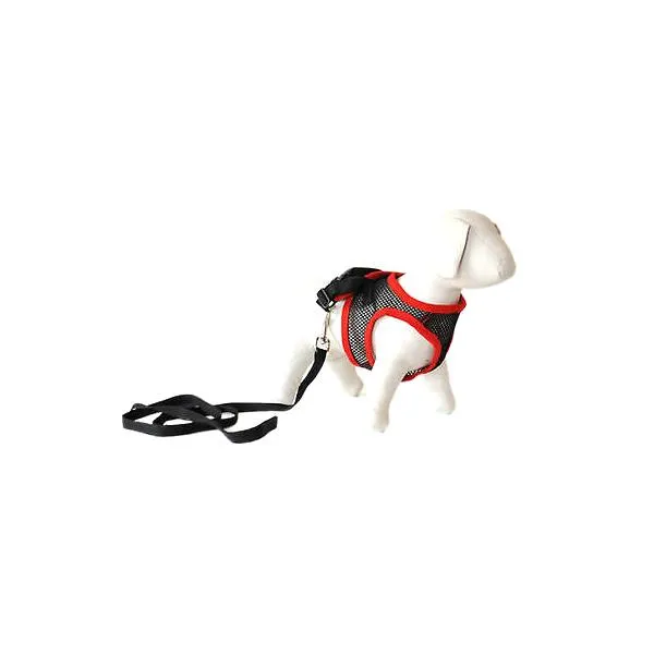 Comfy Mesh Dog Harness - 2 Sizes Available!
