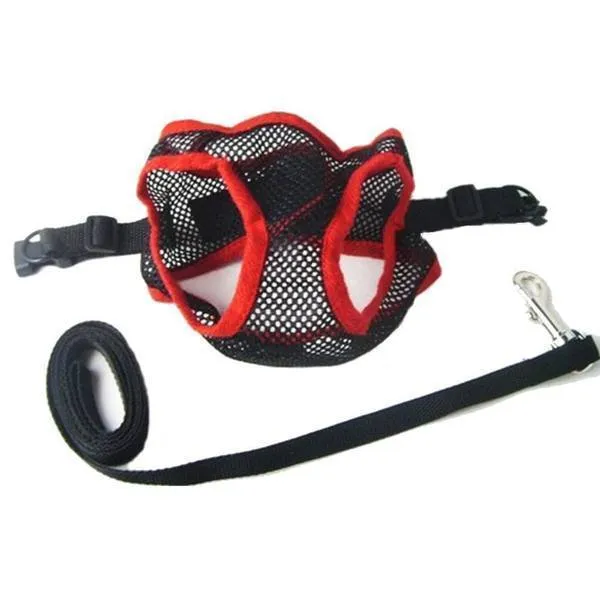 Comfy Mesh Dog Harness - 2 Sizes Available!