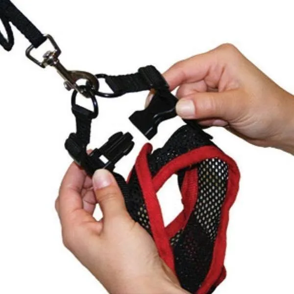Comfy Mesh Dog Harness - 2 Sizes Available!