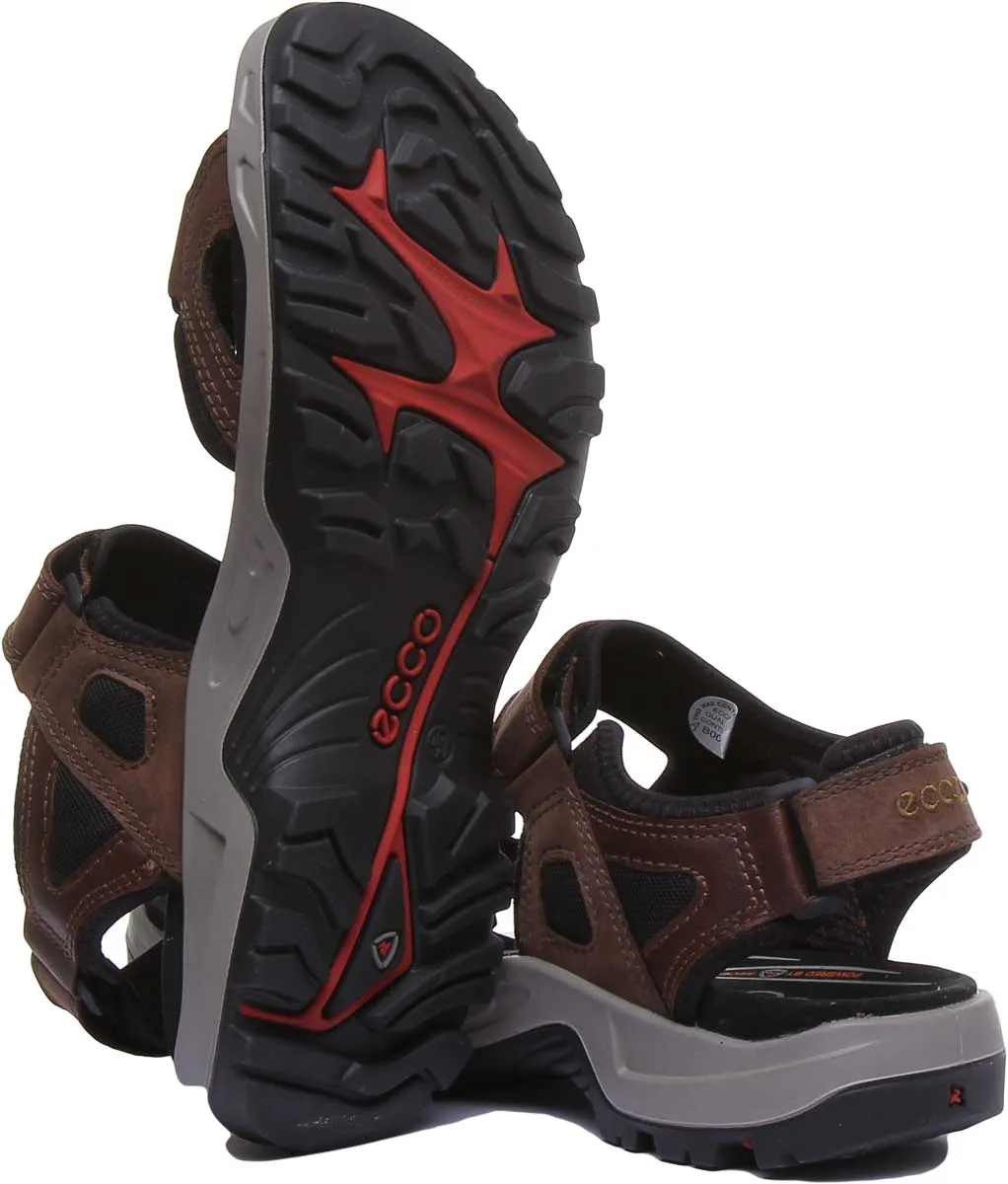 Ecco Offroad In Espresso