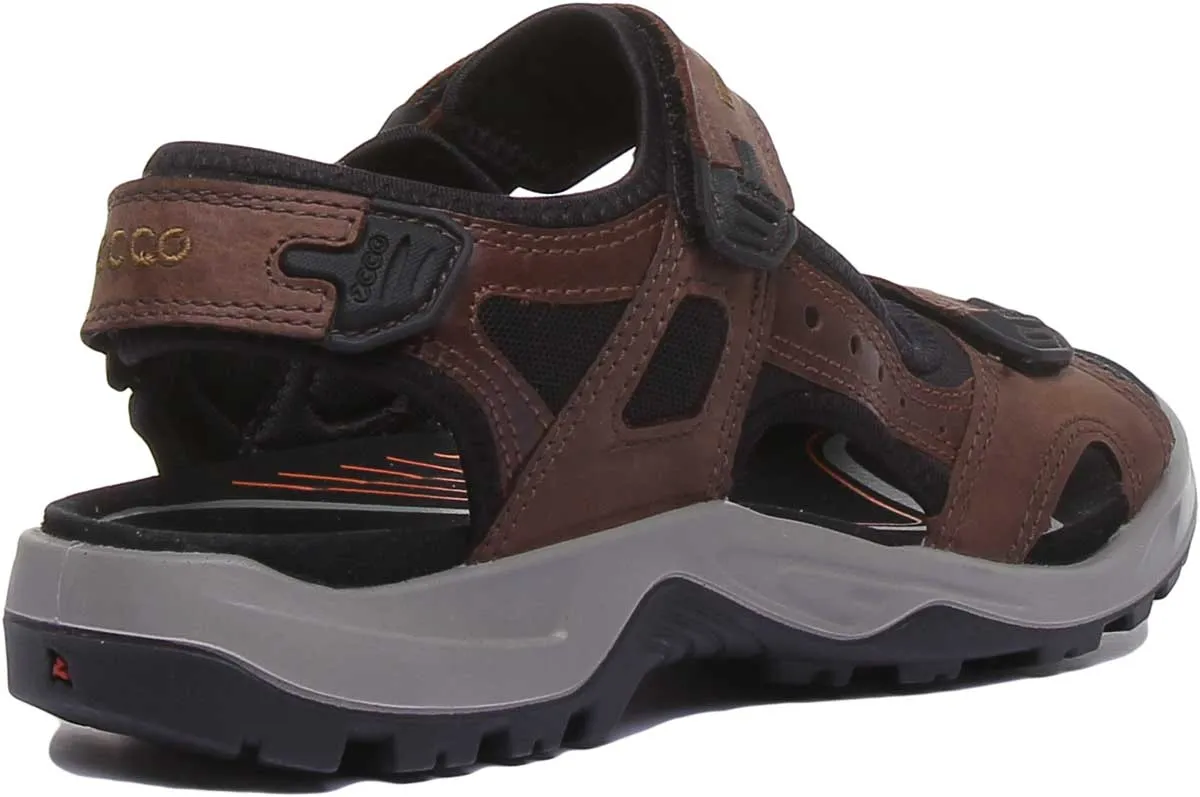 Ecco Offroad In Espresso