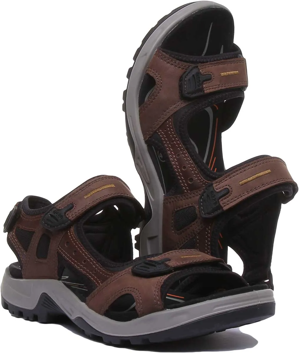 Ecco Offroad In Espresso
