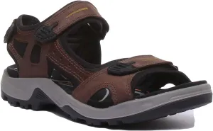 Ecco Offroad In Espresso