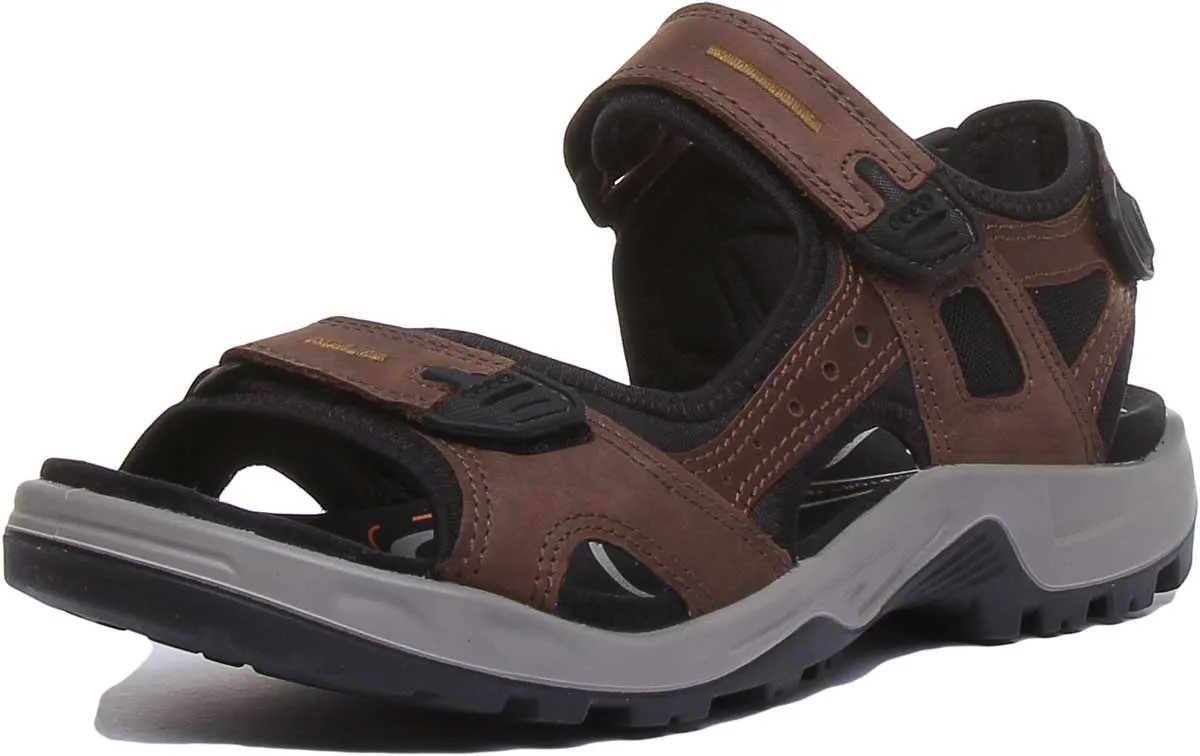 Ecco Offroad In Espresso