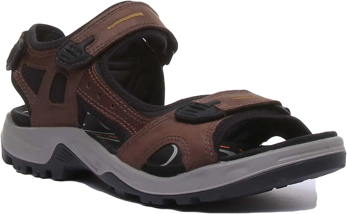 Ecco Offroad In Espresso