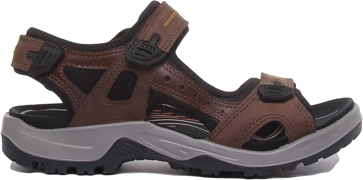 Ecco Offroad In Espresso