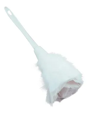 Feather Duster