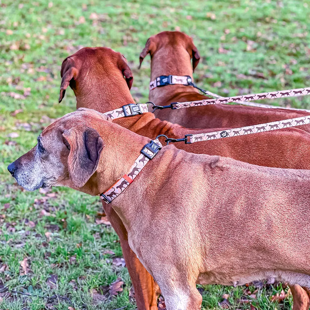 Kiss Chaser: Dog Lead