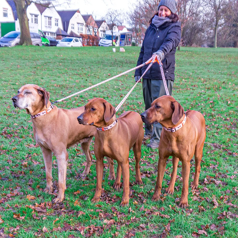 Kiss Chaser: Dog Lead