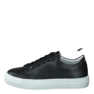 Moore W Black