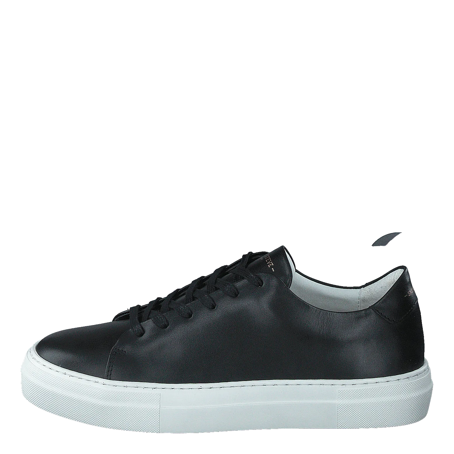 Moore W Black