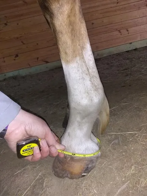 NEW STYLE - Anti-Crappi Boot