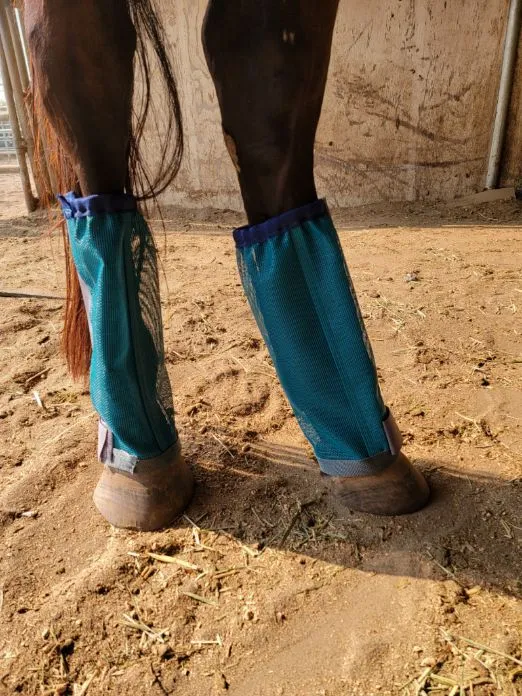 NEW STYLE - Anti-Crappi Boot