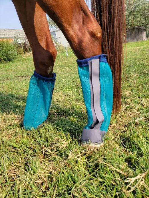 NEW STYLE - Anti-Crappi Boot