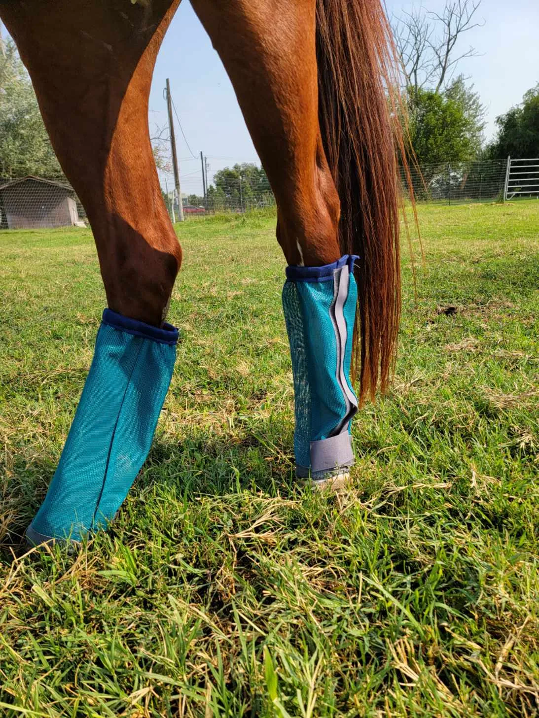 NEW STYLE - Anti-Crappi Boot