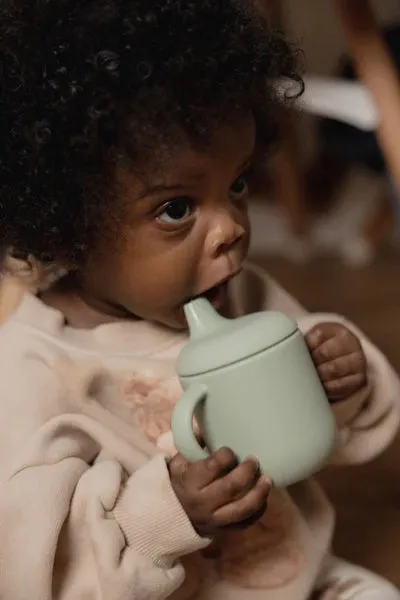 noüka Non-Spill Sippy Cup (Fern)