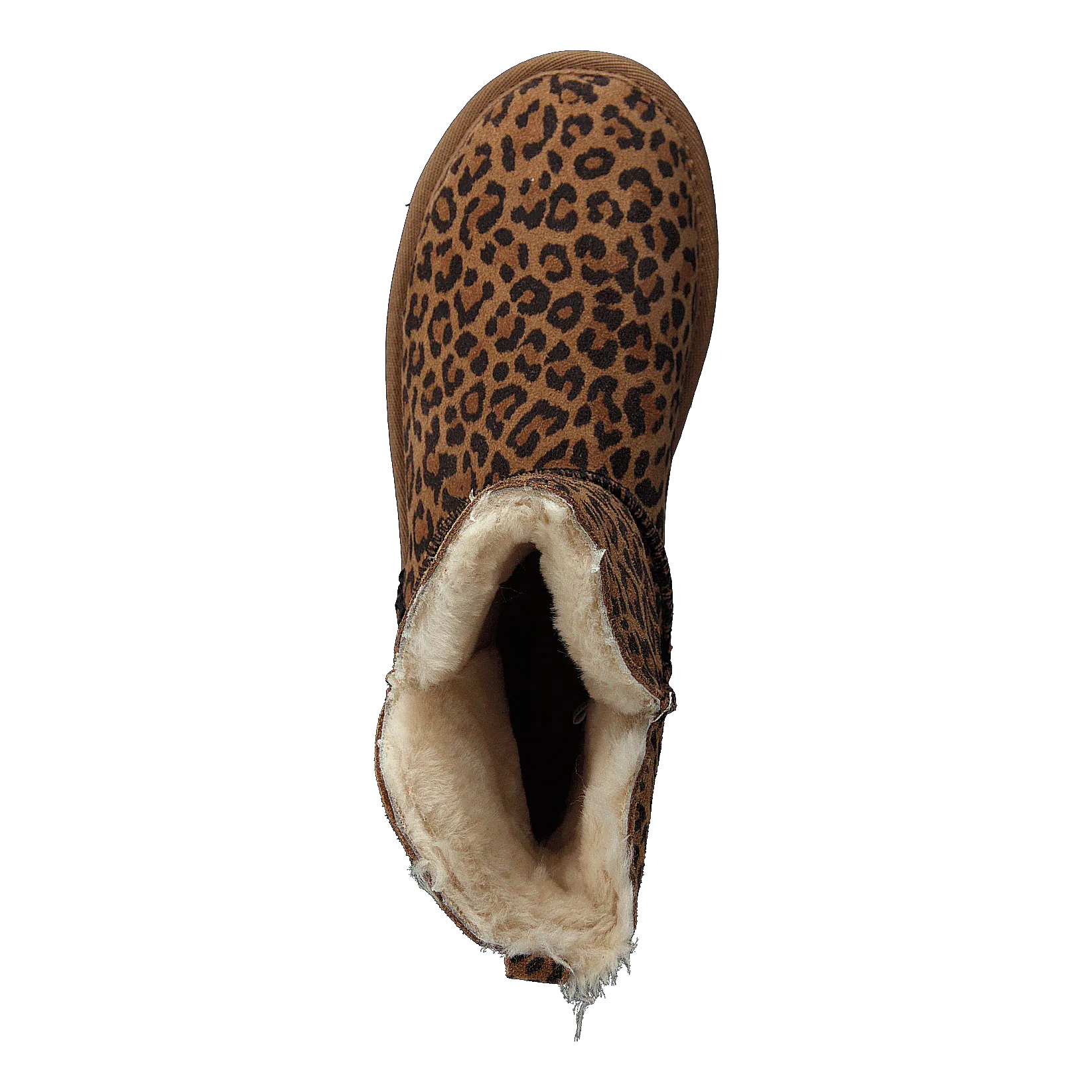Nora Leopard