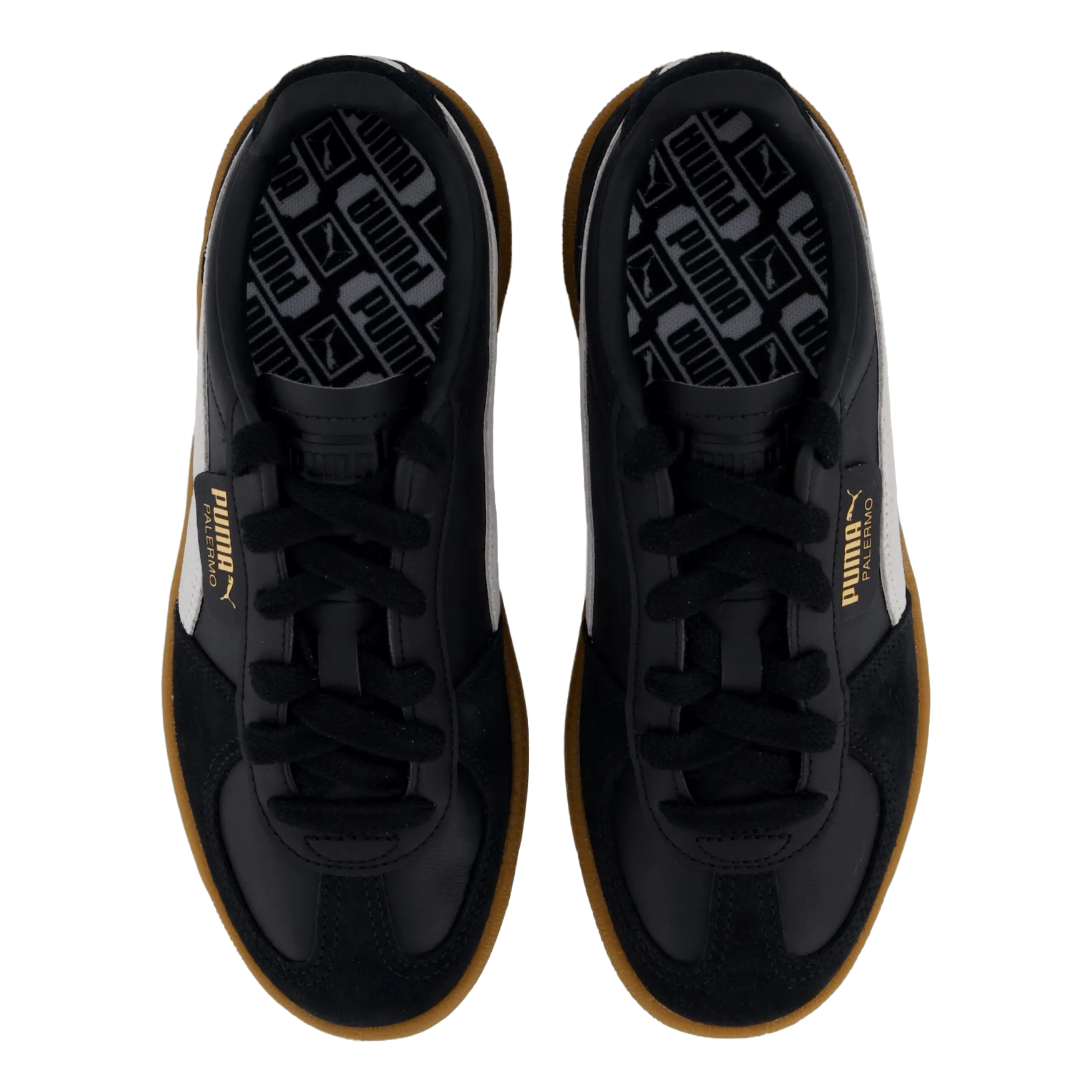 Palermo Black-feather Gray-gum