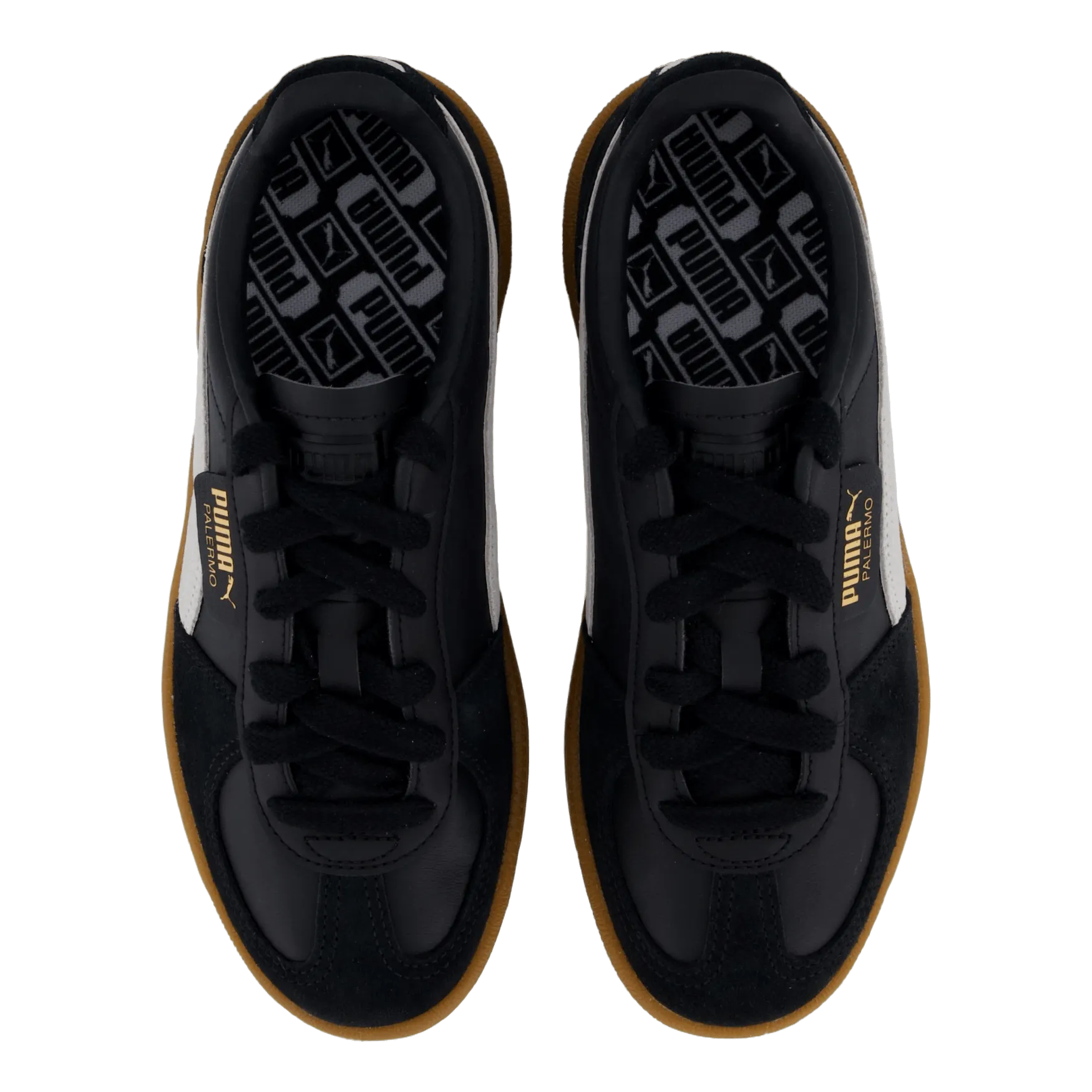 Palermo Black-feather Gray-gum