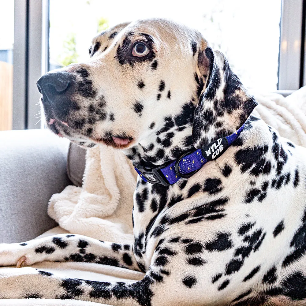 Pocket Rocket: Dog Collar