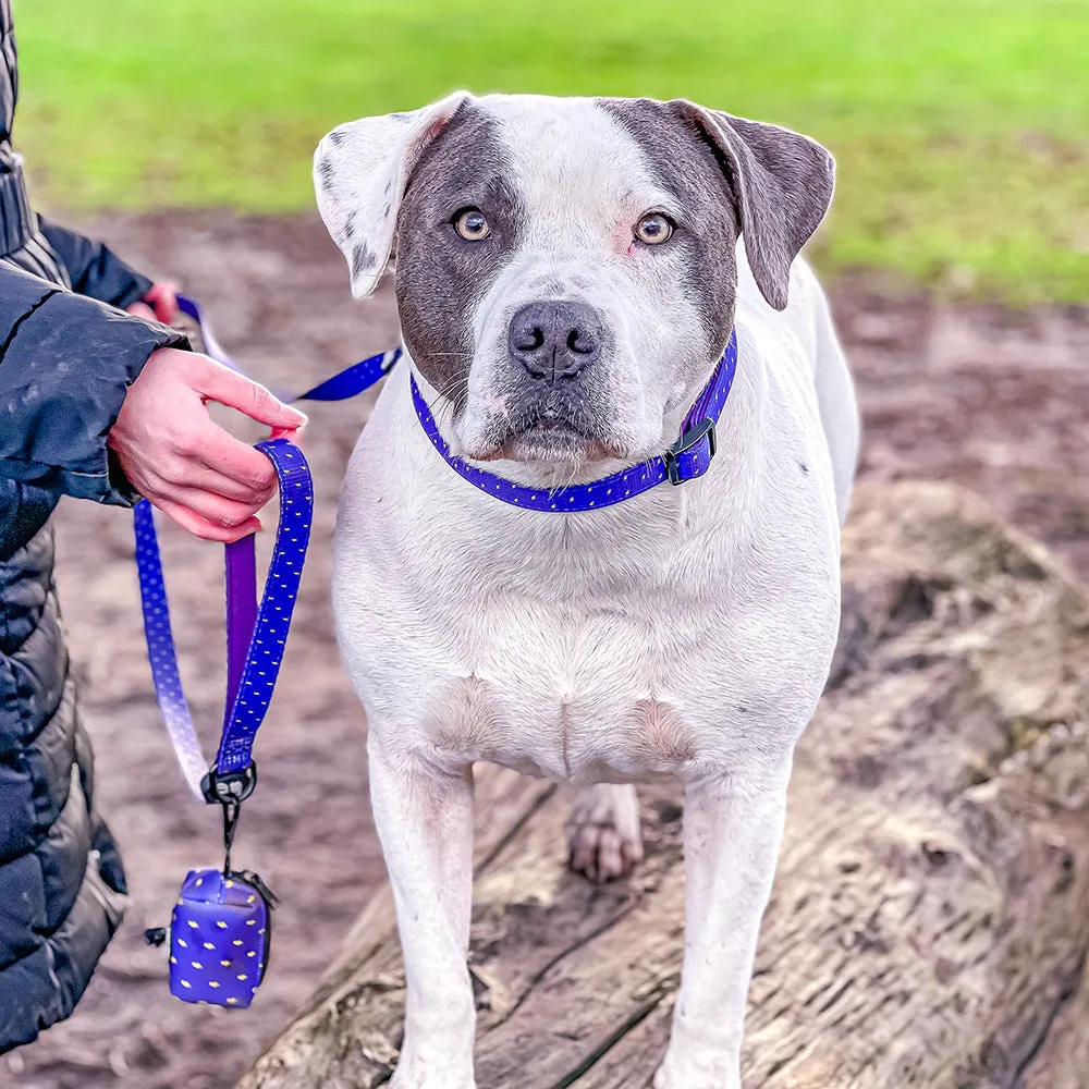 Pocket Rocket: Dog Collar