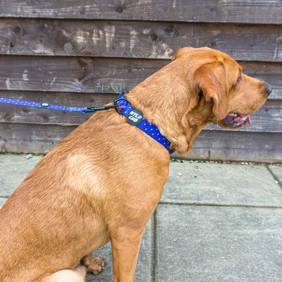 Pocket Rocket: Dog Collar
