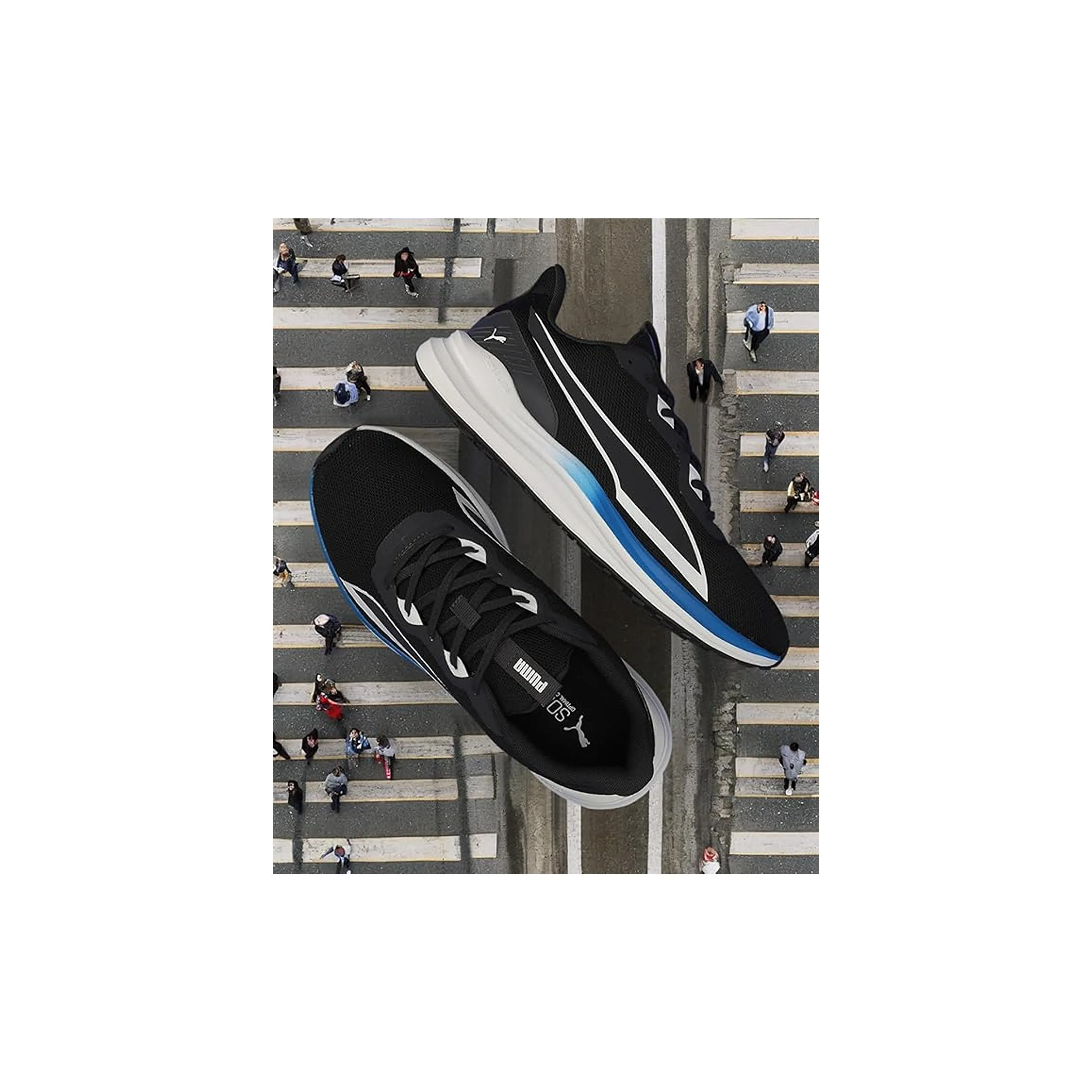 Puma Mens Exotine 2.0 Flat Dark Gray-White-Racing Blue Running Shoe (31042301)