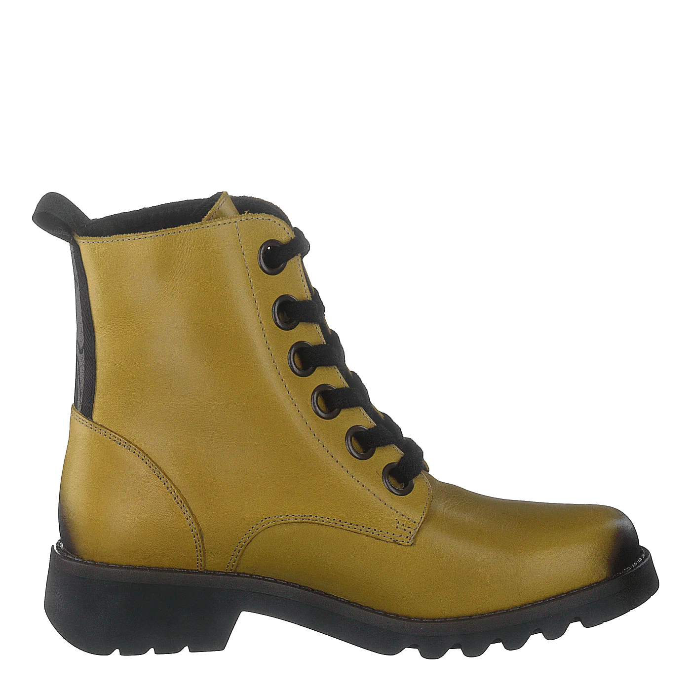 Ragi539fly Mustard