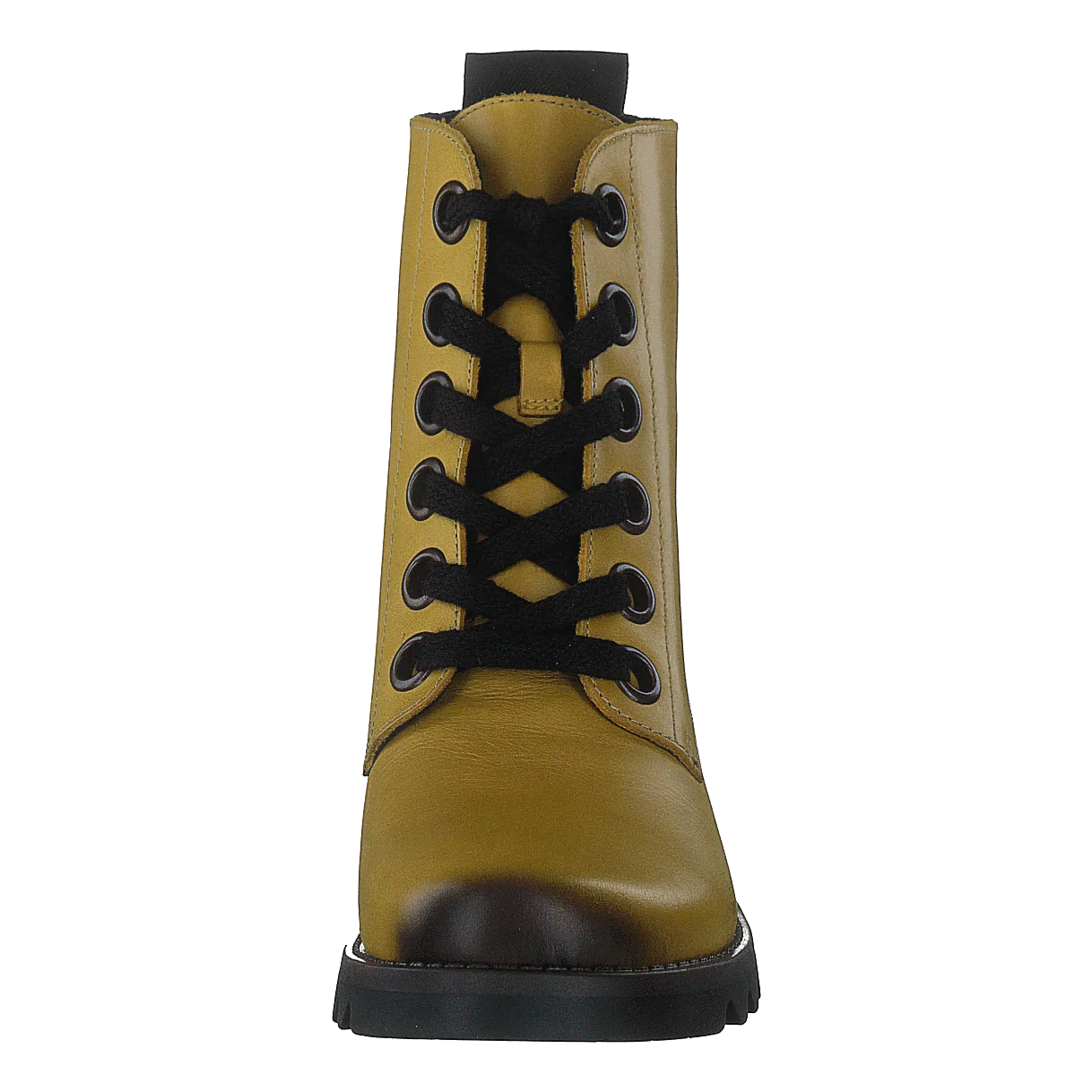Ragi539fly Mustard