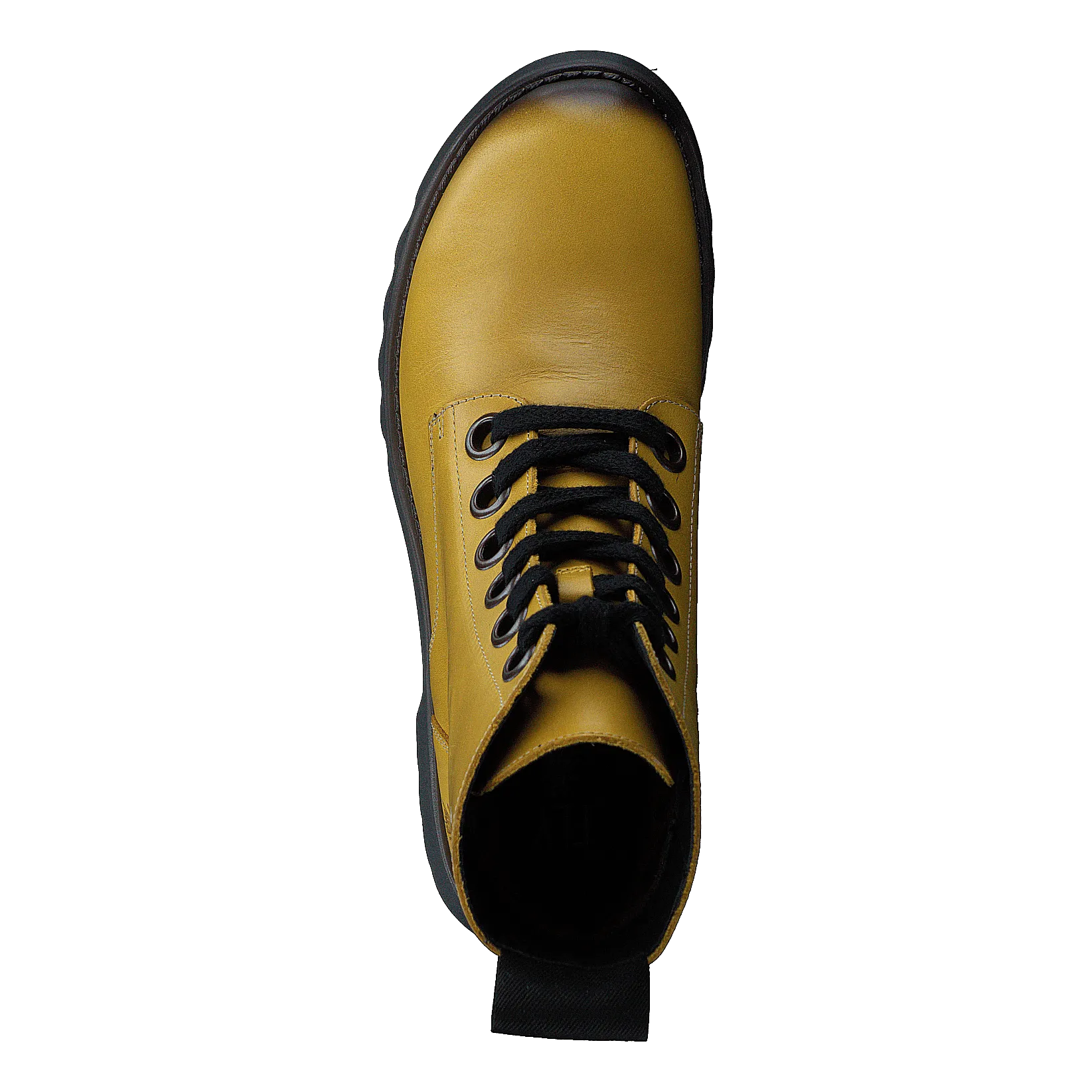 Ragi539fly Mustard