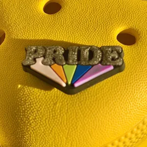 SHOE CHARMS - PRIDE