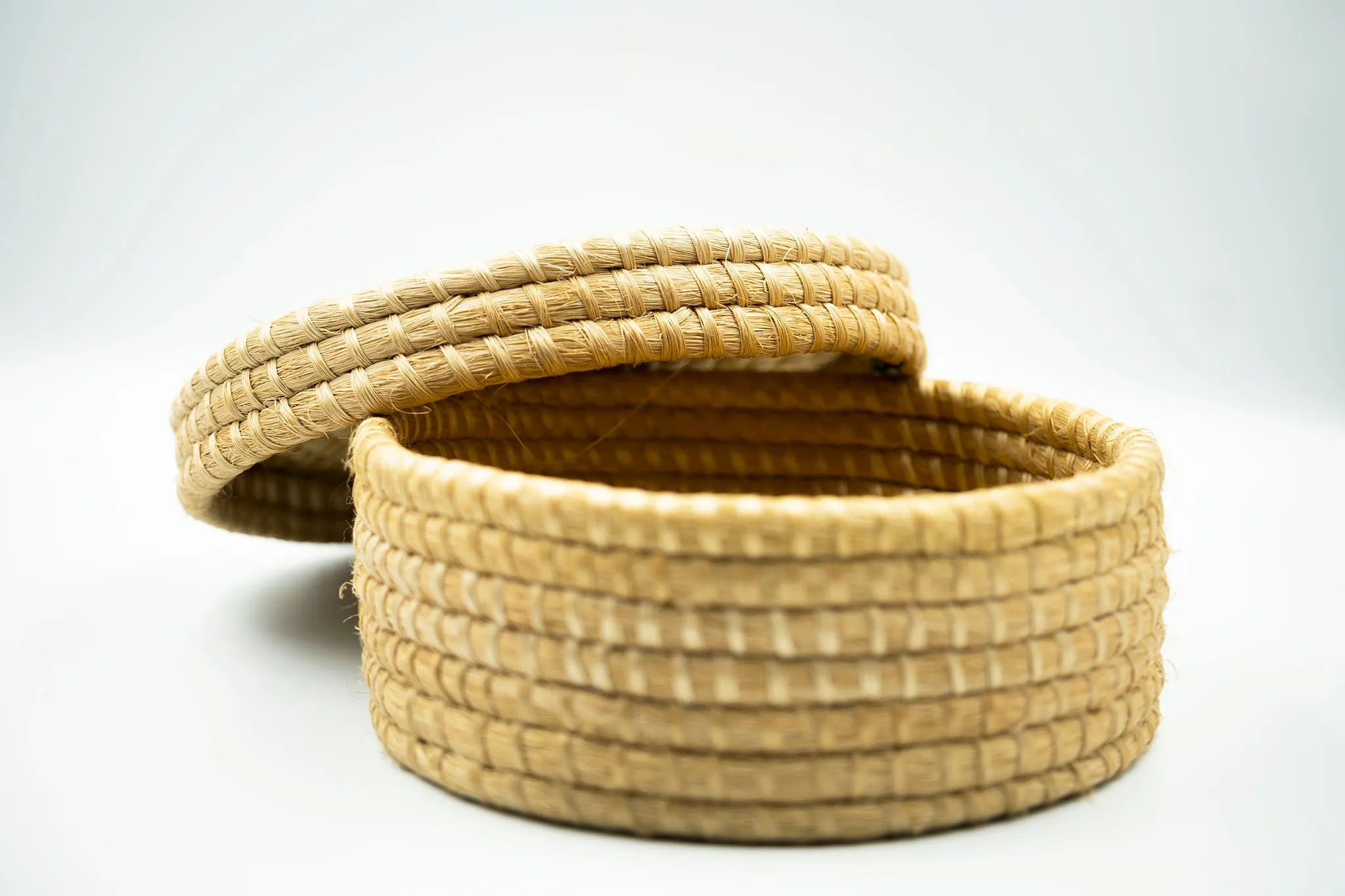 Sisal Tortillero