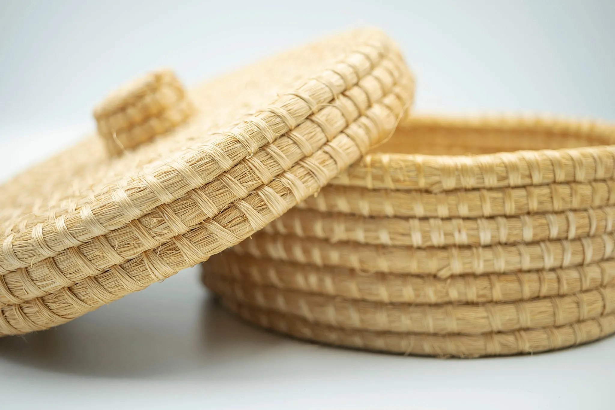 Sisal Tortillero