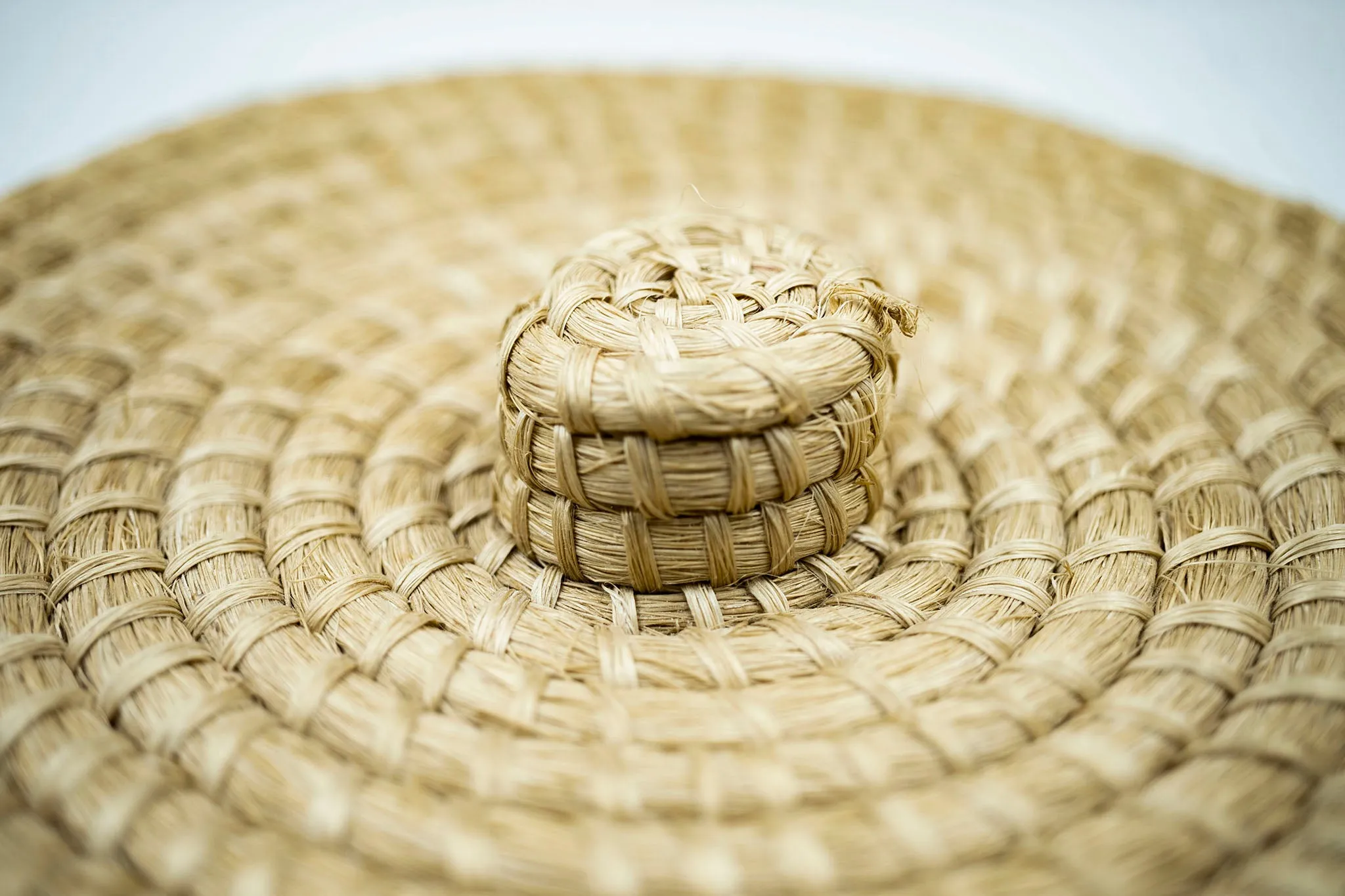 Sisal Tortillero