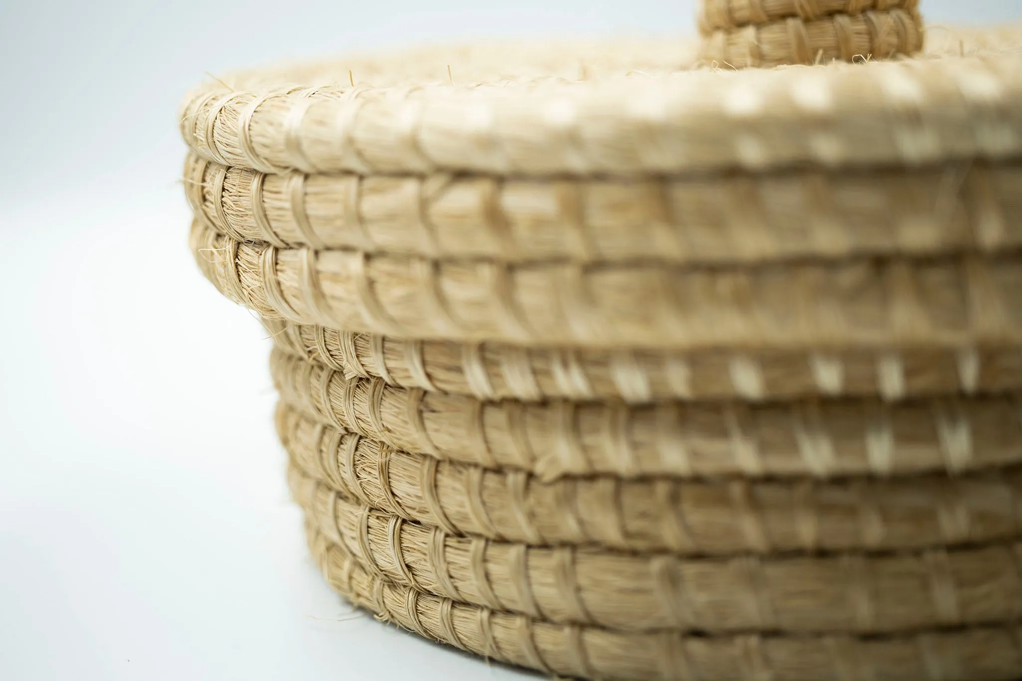 Sisal Tortillero