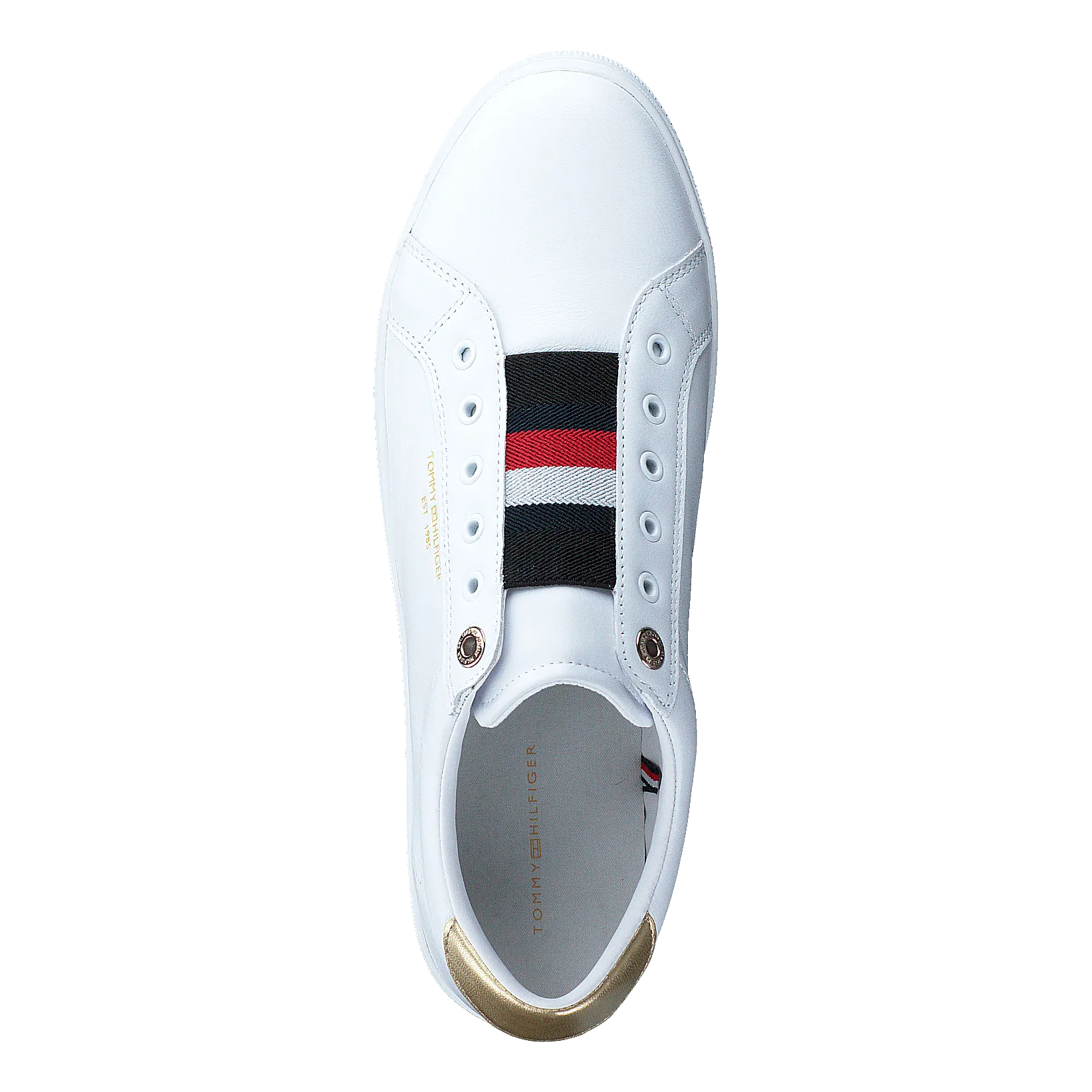 Venus 56a Ybr White
